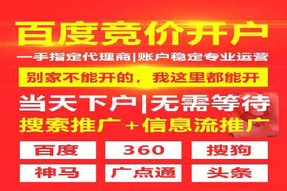 某公司通过竞价SEM优化搜索引擎排名案例
