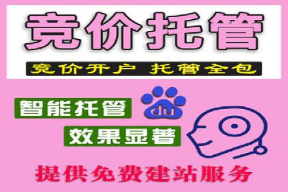 案例解析：SEM广告创意与效果评估